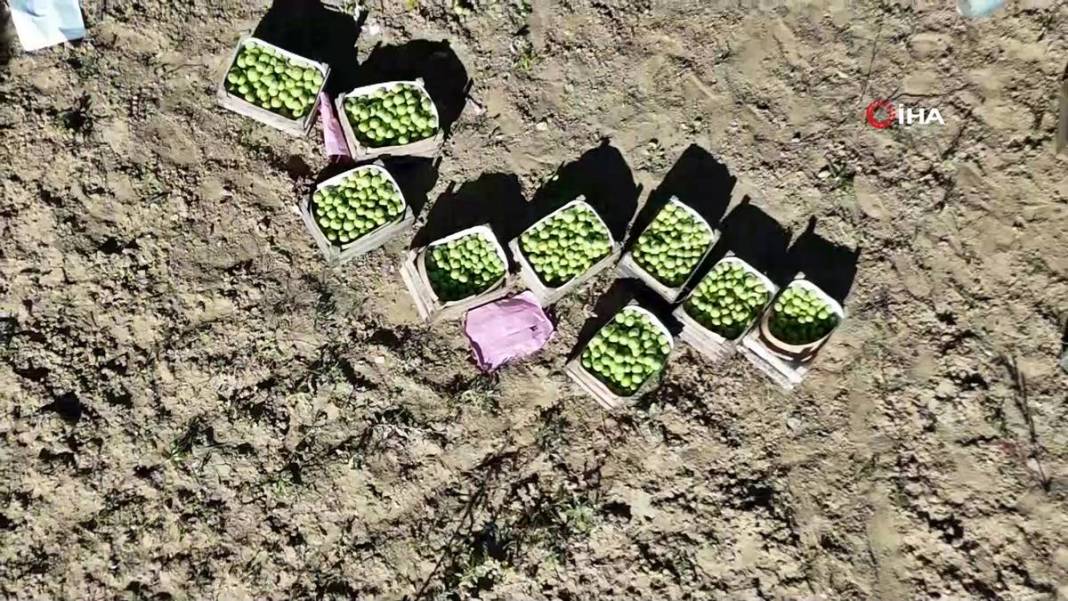 Aylarca depolarda bekletildi: Şimdi tezgahları süsleyecek! Ankara armudunun ilginç yolculuğu şaşırttı 8